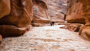 stone paved Al Siq passage to ancient Petra city
