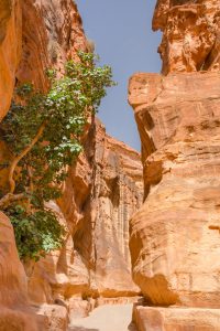 the siq canyon. Petra, Jordan country